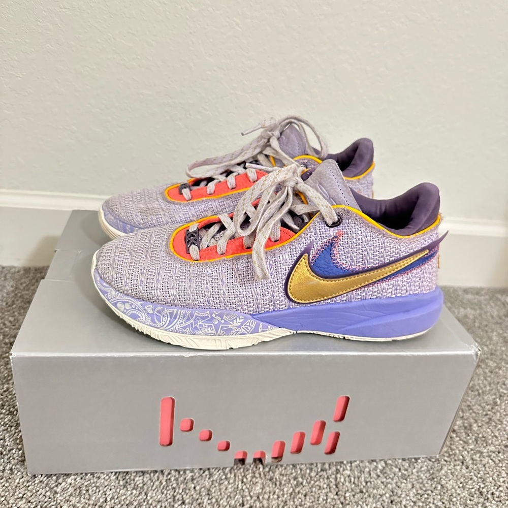 lebron xx basketball shoes purple